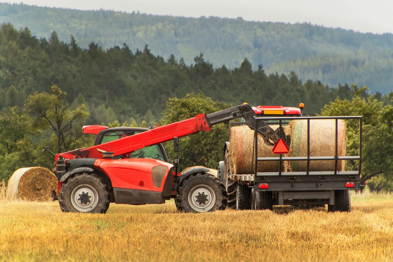 Telescopic handler lifting bales in a field