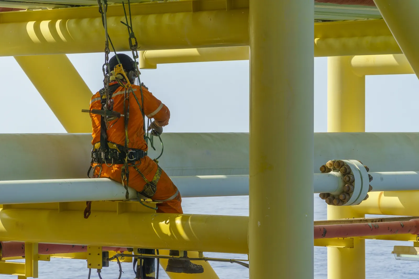 Harness and Lanyard Training